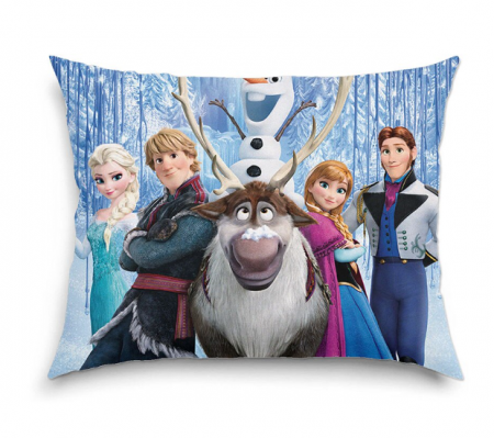 Perini - Perna Decorativa Copii, Tip Frozen, Pentru casa si gradinita, 45 x 45 cm