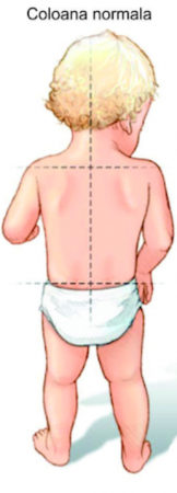 Premergator, +6 luni, Cu panou de jucarii si Spatar dublu [4]