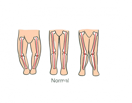 Premergator, +6 luni, Cu panou de jucarii si Spatar dublu [3]