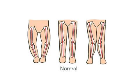 Premergator cu jucarii, Muzical, Cadru bazal antirasturnare, 6 roti duble, Albastru [2]
