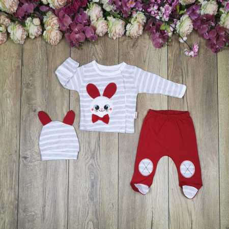 Set nou nascut - Set 3 piese nou nascut,fetite,rosu si gri,3 D