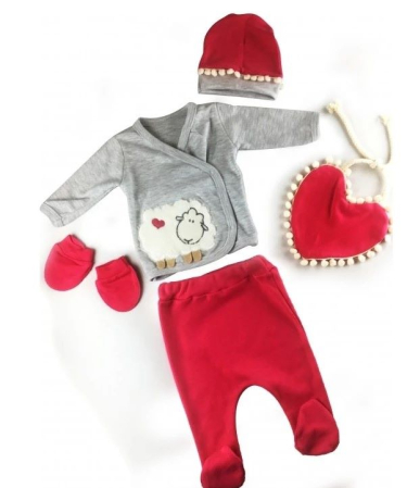 Set nou nascut - Set 5 piese,haine bebe,oita 3 D