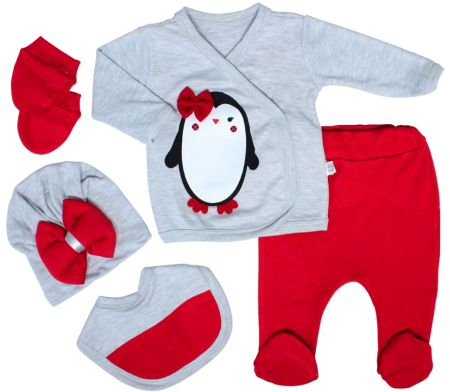 Set nou nascut - Set 5 piese nou nascut,cod 81