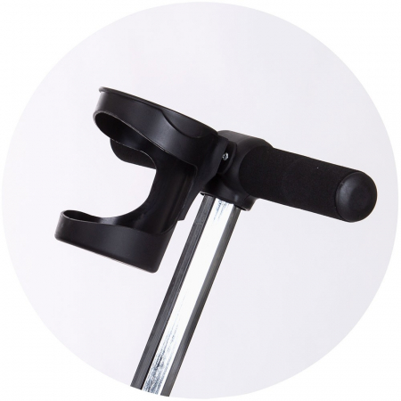 Tricicleta Chipolino Smart cu sezut reversibil [6]