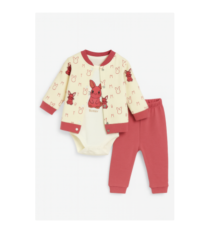 Set nou nascut - Compleu 3 piese, cu body, Iepuras motat