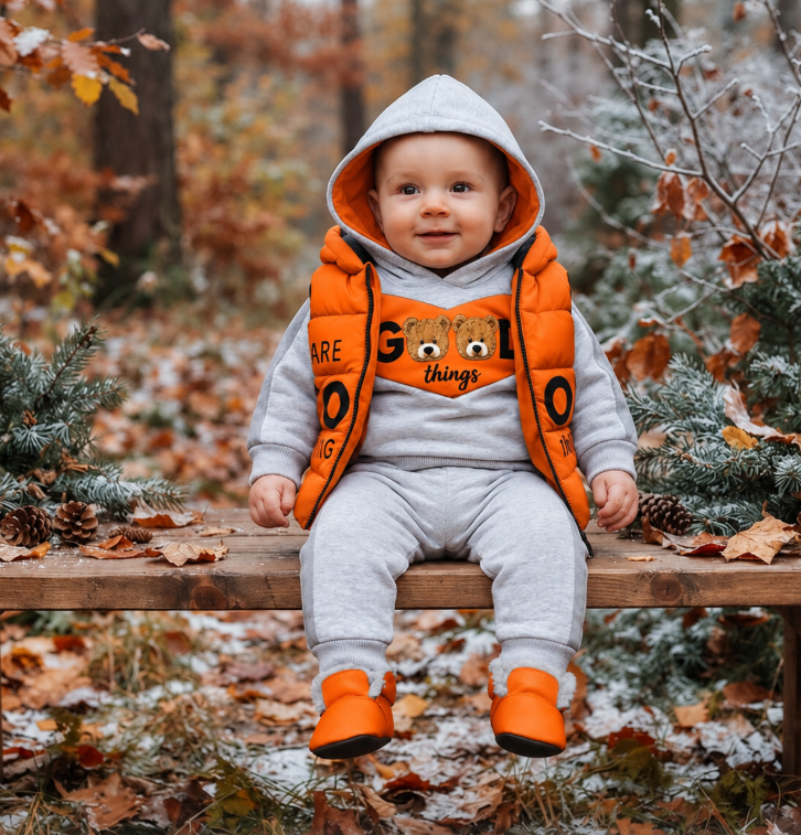 Set 3 piese pentru copii - hanorac cu glugă, pantaloni și vestă matlasată, multicolor [2]