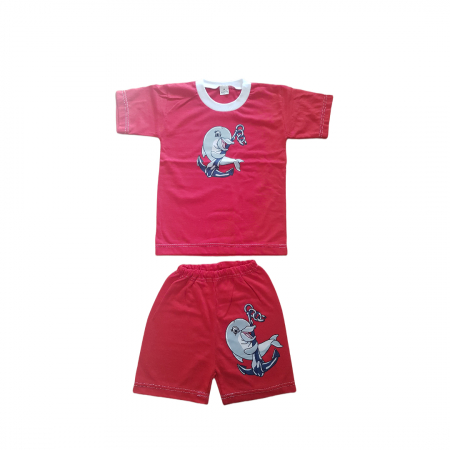Hainute 3 - 4 ani - Set tricou si pantaloni Bumbac