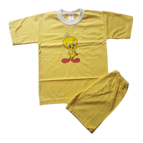 Costumase / Seturi - Tricou si pantaloni scurti, set 2 piese , Fabricat in Romania, Bumbac