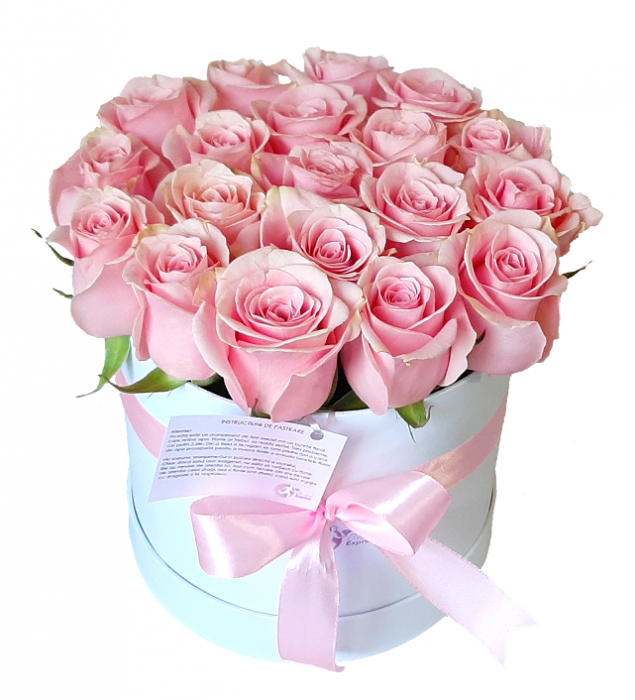 Cutie de trandafiri roz [5]