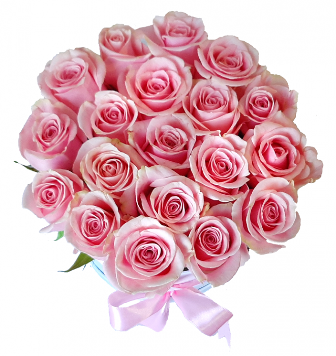 Cutie de trandafiri roz [4]