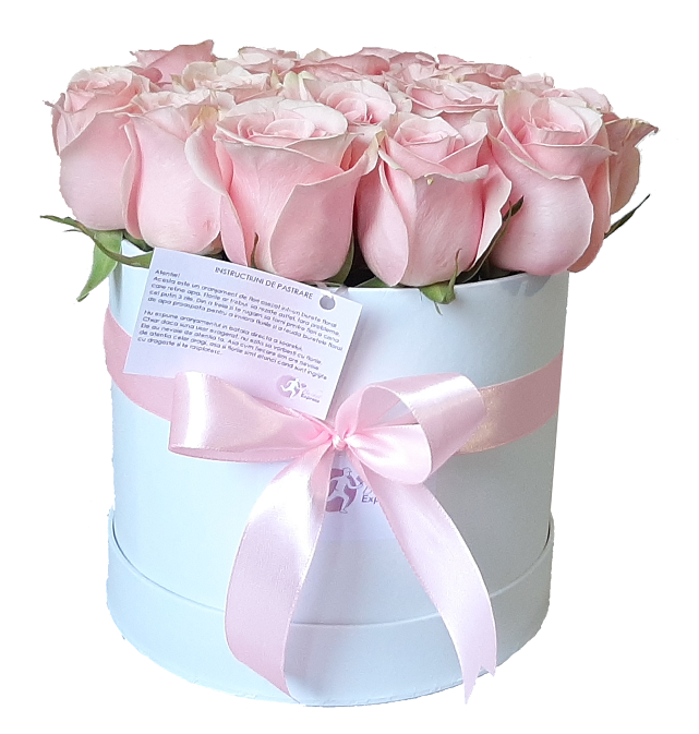 Cutie de trandafiri roz [3]