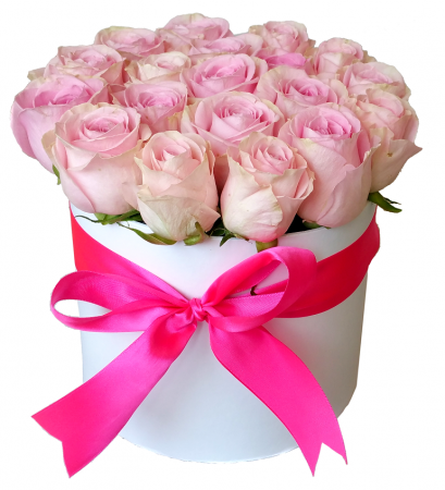 Cutie de trandafiri roz [1]