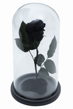 Dragoste si trandafir nemuritor in cupola - negru [0]