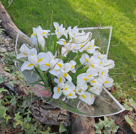 Ocazii - BUCHET 25 IRIS