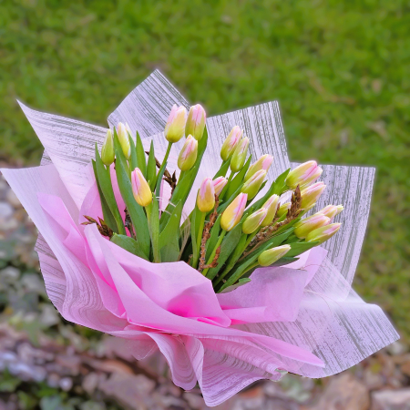 Ocazii - Buchet 25 lalele roz românești