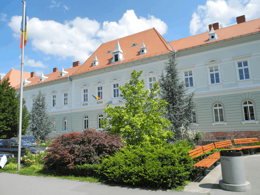 Ferestre din lemn pentru Sediul Primăriei Municipiului Sibiu: un proiect public realizat cu atenție la detalii