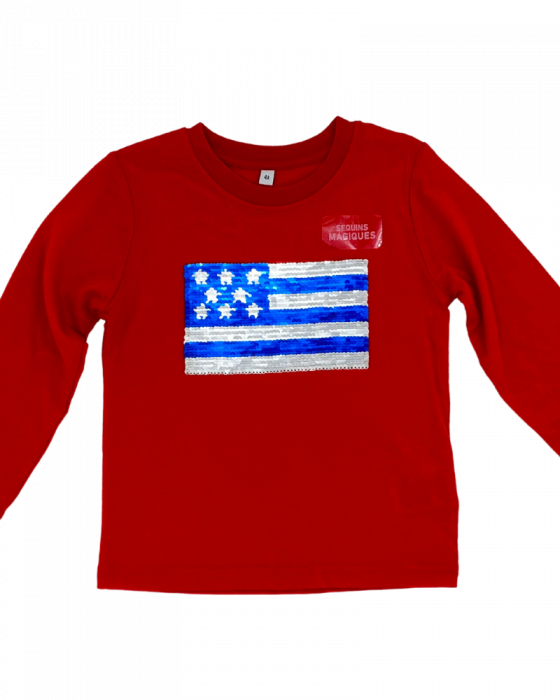 Bluza fete, paiete  grafica steag SUA. [1]