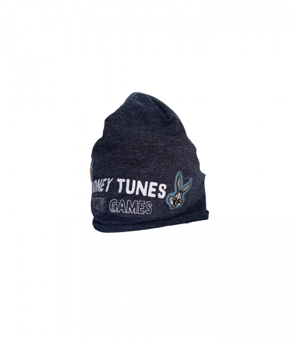 Caciula bebelusi, Looney Tunes, brodata, Bumbac organic, Albastru inchis, 42-44 CM, 6-9 luni [3]