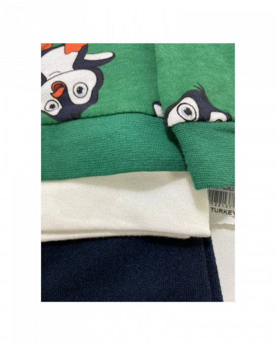 Set 2 piese pantaloni si bluza verde - Pinguini [3]