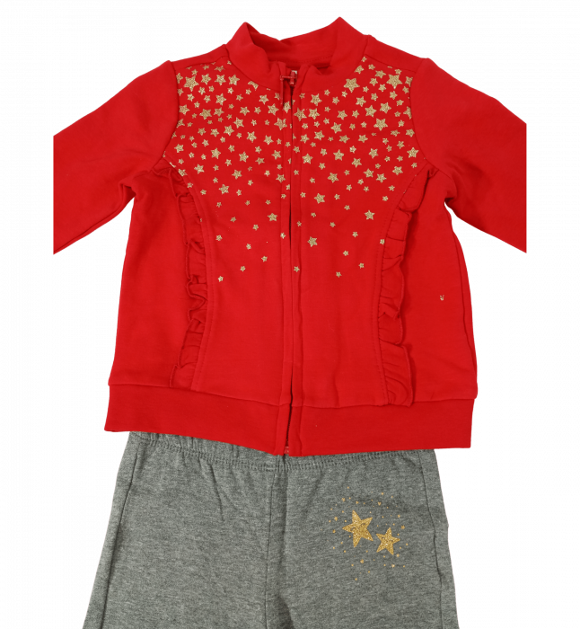 Trening flausat fete, OVS, Stelute aurii, pantaloni si bluza cu fermoar, Bumbac, 18-24 luni [2]