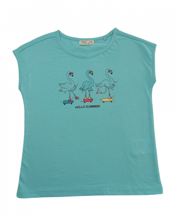 Tricou pentru fete, OVS, Flamingo, Bumbac, Albastru deschis, 110 CM, 4-5 ani [1]