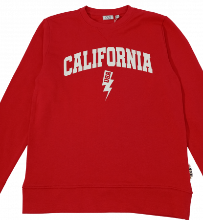 Bluza baieti, EVERLAST, California USA, Bumbac pur, 10-11 ani [1]