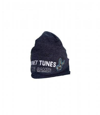 Caciula bebelusi, Looney Tunes, brodata, Bumbac organic, Albastru inchis, 42-44 CM, 6-9 luni [2]