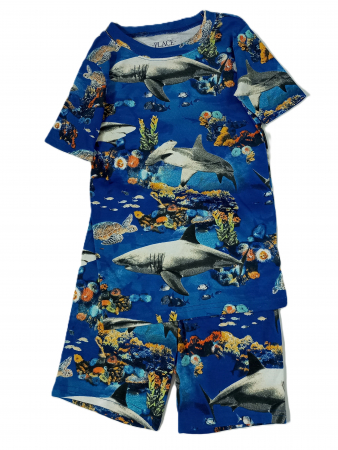 Compleuri copii - Compleu baieti, The Children's PLACE, pantaloni scurti si tricou, peisaj marin, Bumbac, 7 ani