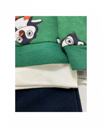 Set 2 piese pantaloni si bluza verde - Pinguini [2]