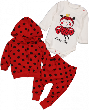 Imbracaminte copii - Trening pentru bebelusi din 3 piese, Minibird Baby, Buburuza, Bumbac,