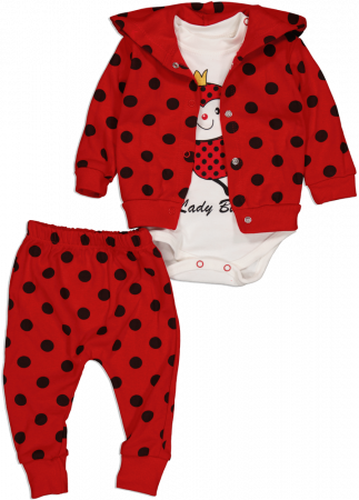 Trening pentru bebelusi din 3 piese, Minibird Baby, Buburuza, Bumbac, [1]