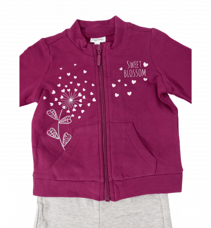 Trening flausat fete, OVS, Sweet Blossom - inimioare, pantaloni si bluza cu fermoar, Bumbac, 9-12 luni [2]