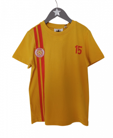 Imbracaminte copii - Tricou baieti cu licenta UEFA 2020, OVS, Bumbac, Galben, 128 CM, 7-8 ani