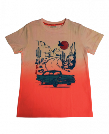 Tricouri copii - Tricou baieti, OVS, imprimeu Westernaddicted, Bumbac organic, 128 CM, 7-8 ani