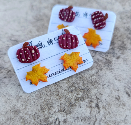 Set cercei - Toamnă colorata [1]
