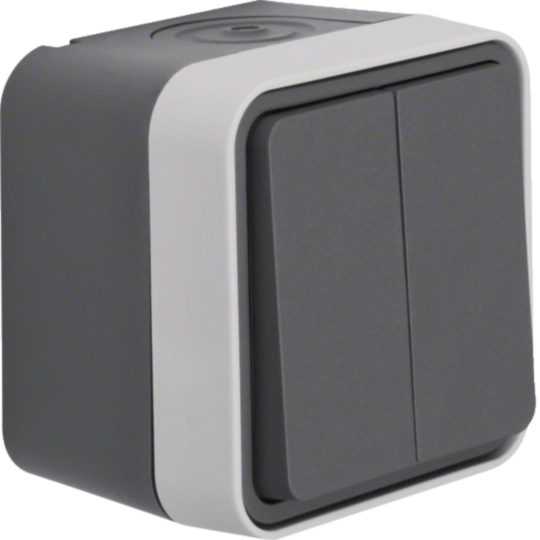 Intrerupatoare - Comutator W.1, IP55, gri