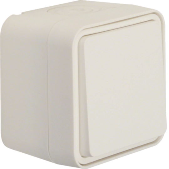 Prize Intrerupatoare - Intrerupator cap cruce W.1, IP55, alb polar, Hager, WNC010B