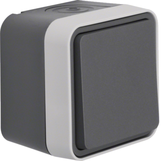 Intrerupatoare - Intrerupator cap scara W.1, IP55, gri