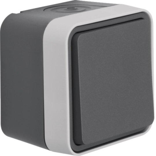 Prize Intrerupatoare - Intrerupator cu revenire W.1, IP55, gri, Hager, WNC020