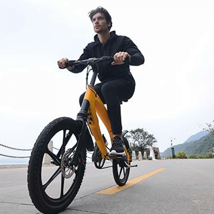 Bicicleta electrica Lehe S1 - Galben [5]