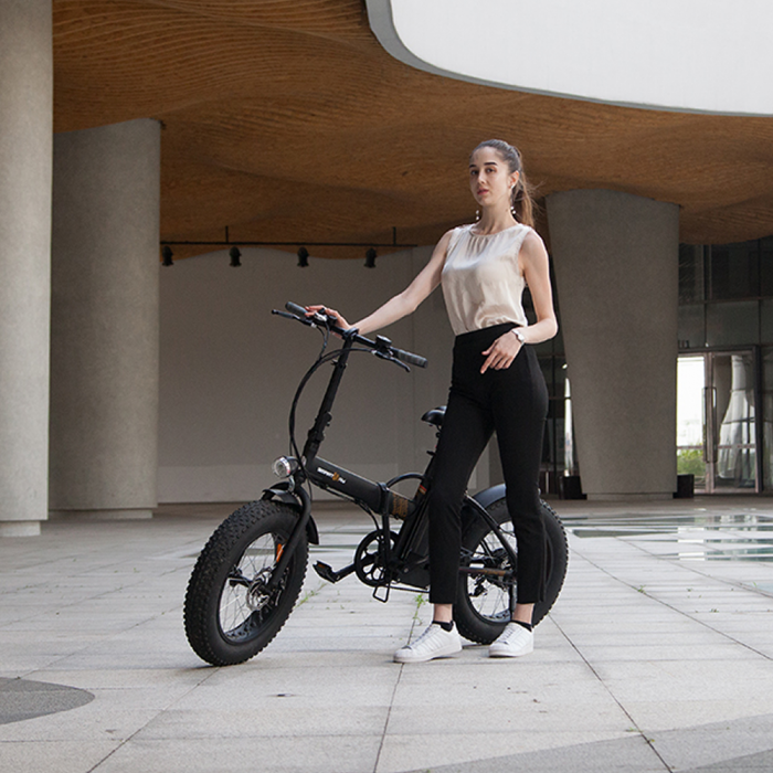 Bicicleta electrica Lvneng LN20M04 [8]