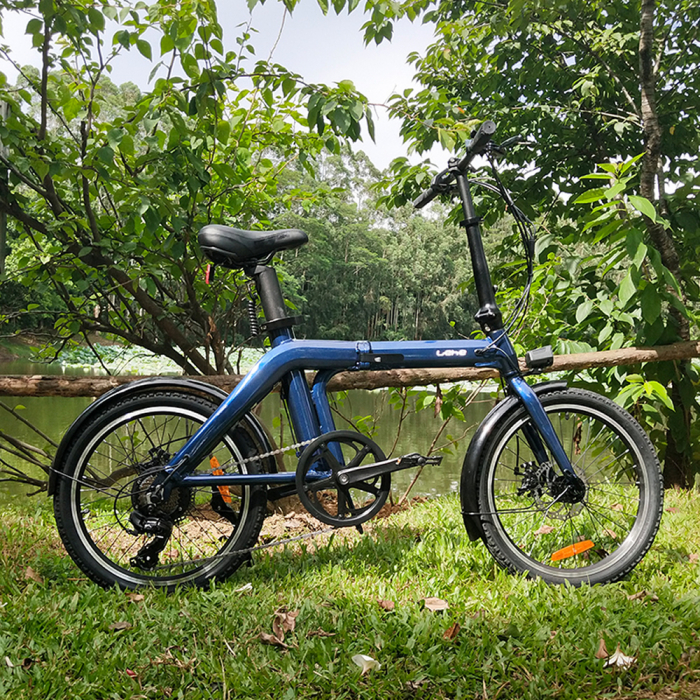 Bicicleta electrica Lehe S3 [7]