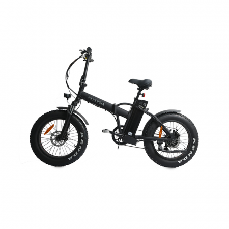Bicicleta electrica Lvneng LN20M04 [4]