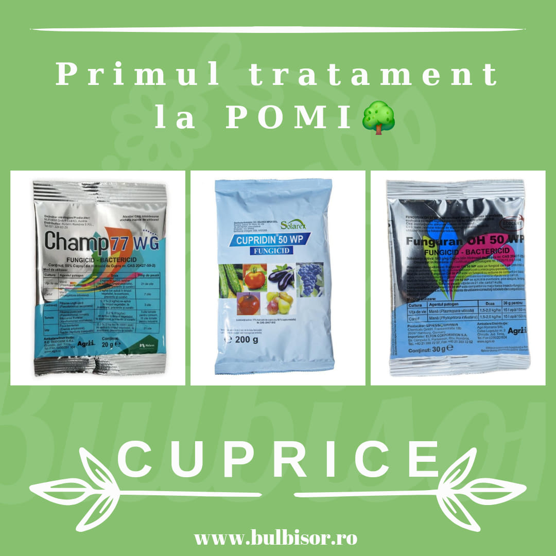 De ce este esențial să stropim imediat pomii fructiferi după tăieri, folosind produse pe bază de cupru?