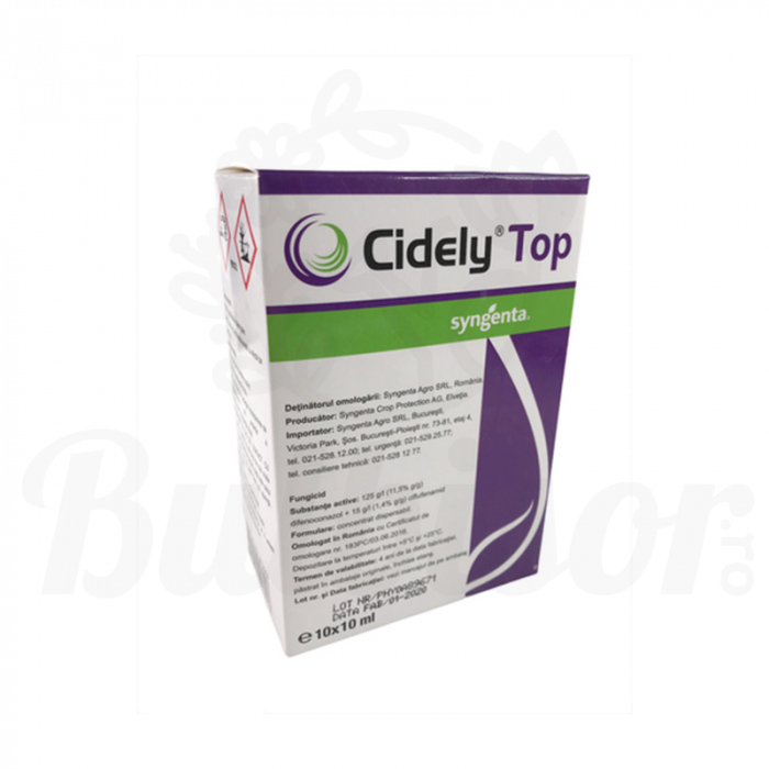 Cidely Top [2]