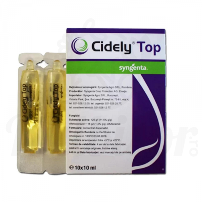Cidely Top [1]