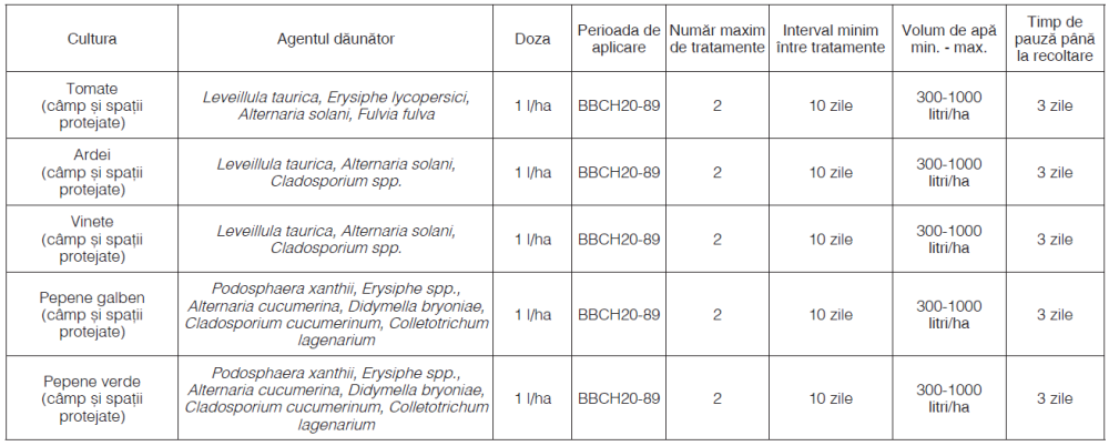 Cidely Top [4]