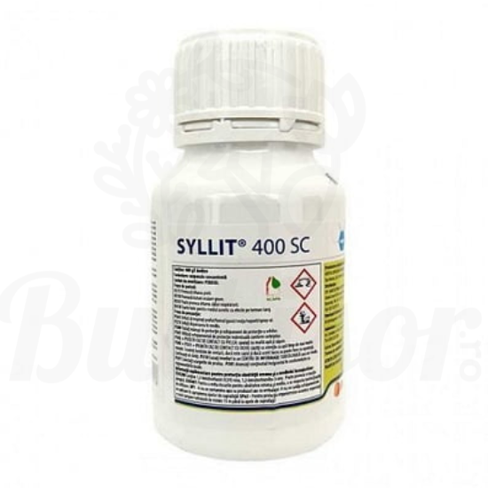 SYLLIT [1]