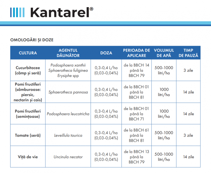 Kantarel [3]