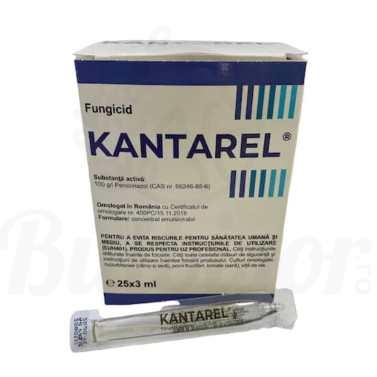 Kantarel [1]